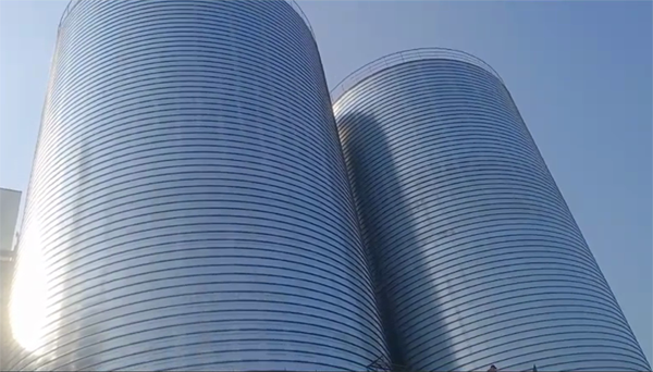 长泰2座混凝土高架卷板仓